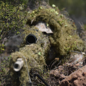 Amfibi Unsurlar (35)