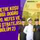 WEBP (26)