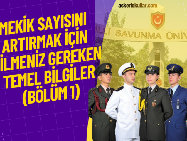 WEBP (30)