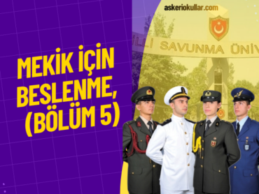WEBP (34)
