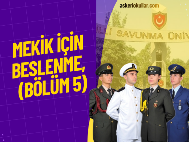 WEBP (34)