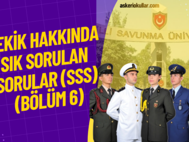 WEBP (35)