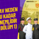 WEBP (37)