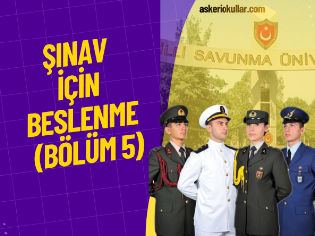 WEBP (41)