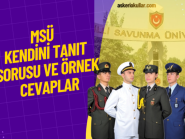 WEBP (50)