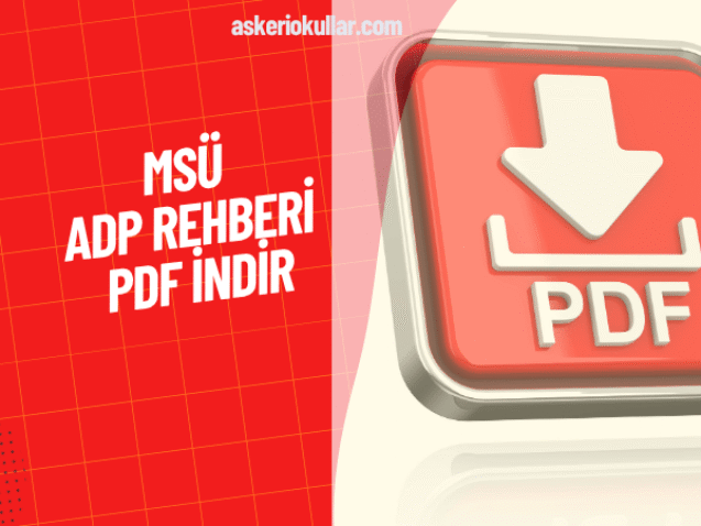 WEBP (71)
